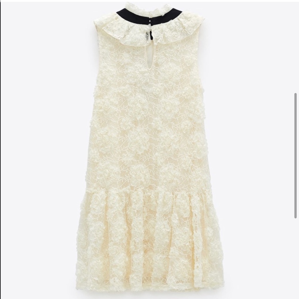 Zara sleeveless ruffled lace dress with dropped waist & contrasting necktie NWT - Picture 2 of 13